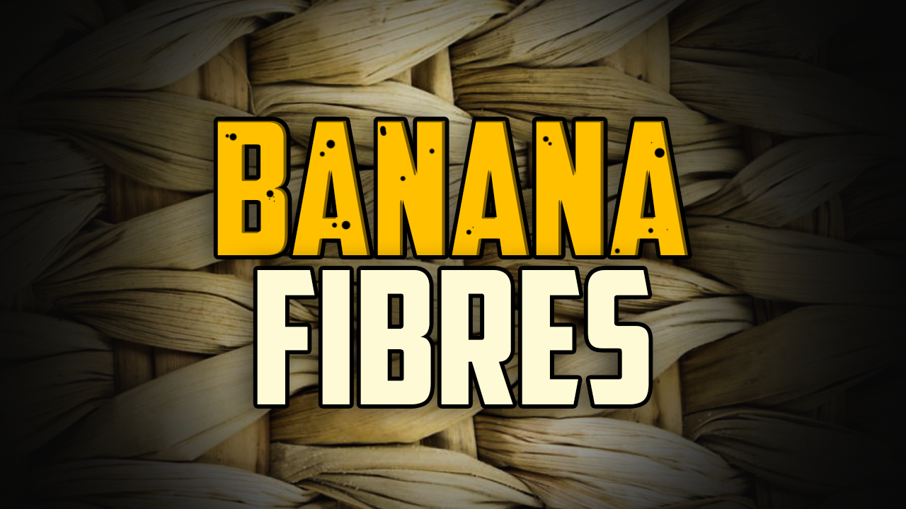 Banana Fibres