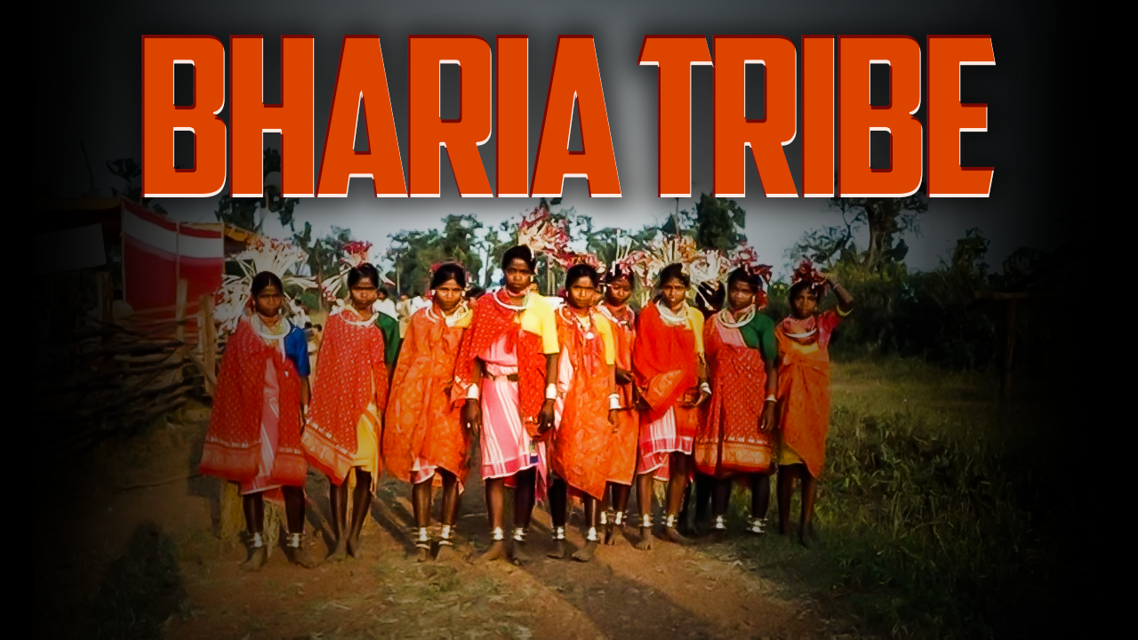 Bharia Tribal Community