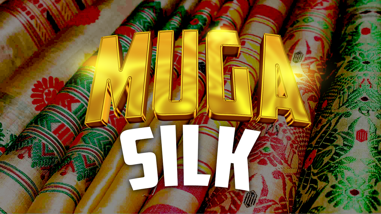 Muga Silk