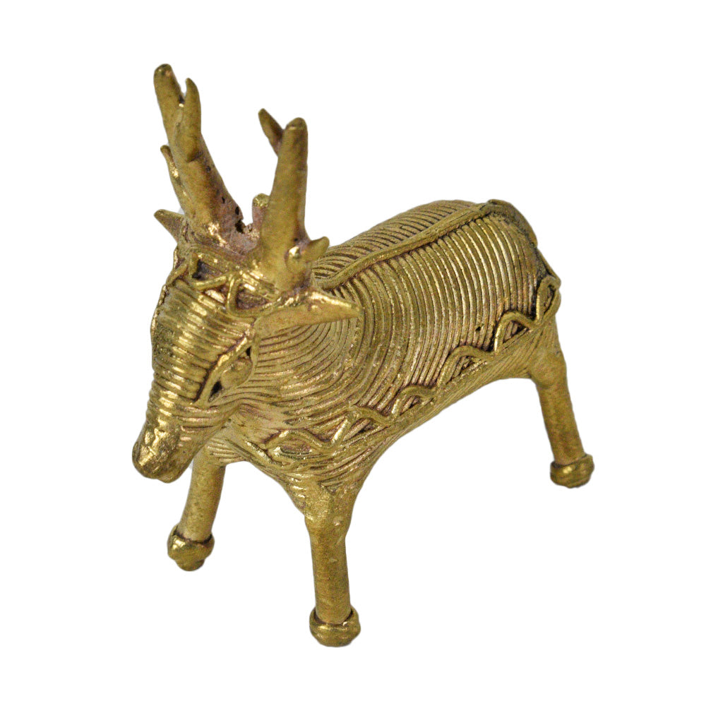 141. Medium Deer Animal